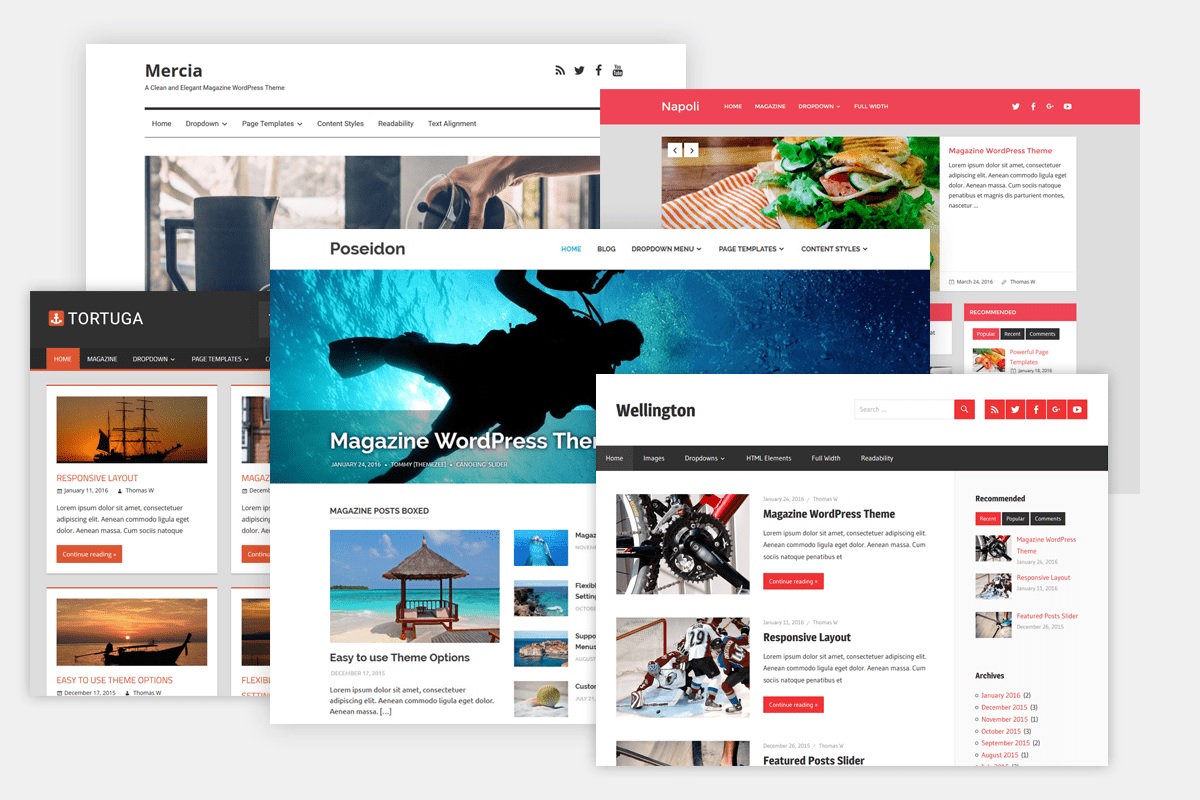 WordPress Themes